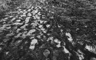 5 Key Elements To Helping Your Colleagues Overcome Fears After a Promotion