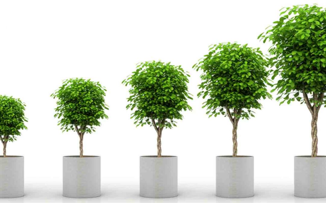 From Self-Talk to Self-Awareness: 16 Ways To Grow