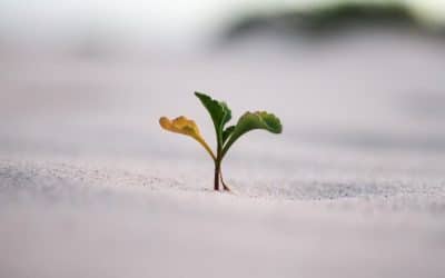 A Year of Growth, Gratitude, and Courage