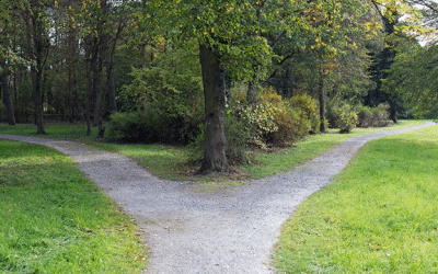 What Does It Mean to Lead Without a Title? A Personal Story