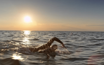 What If Fear Isn’t the Enemy?