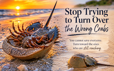 Stop Trying to Turn Over the Wrong Crabs